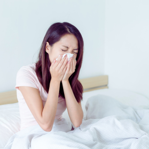 The Best Bed Sheets Review